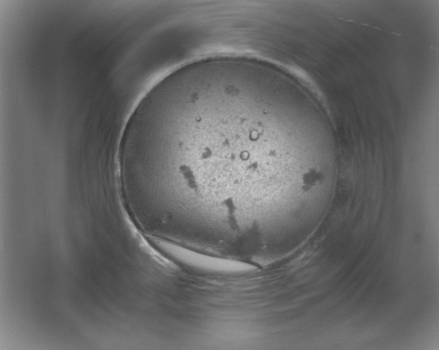 X0000061741287200512161640