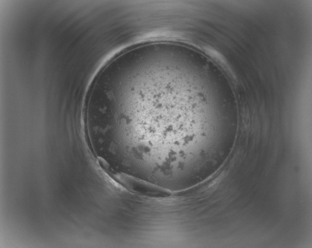 X0000061741288200512161640