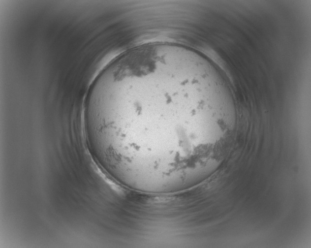 X0000061741290200512161640