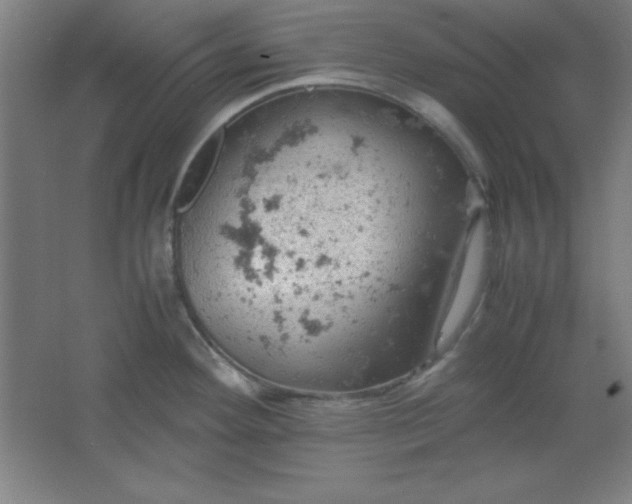 X0000061741292200512161640