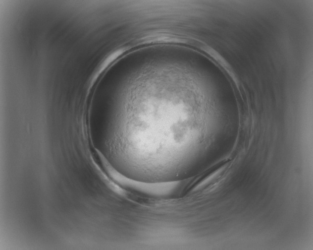 X0000061741293200512161640