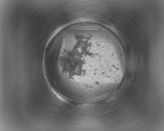 X0000061741294200512161640