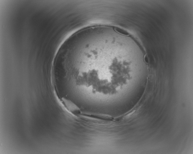 X0000061741295200512161640