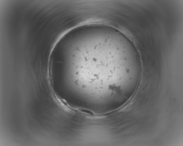 X0000061741296200512161640