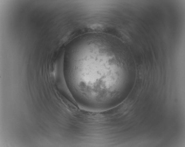 X0000061741298200512161639