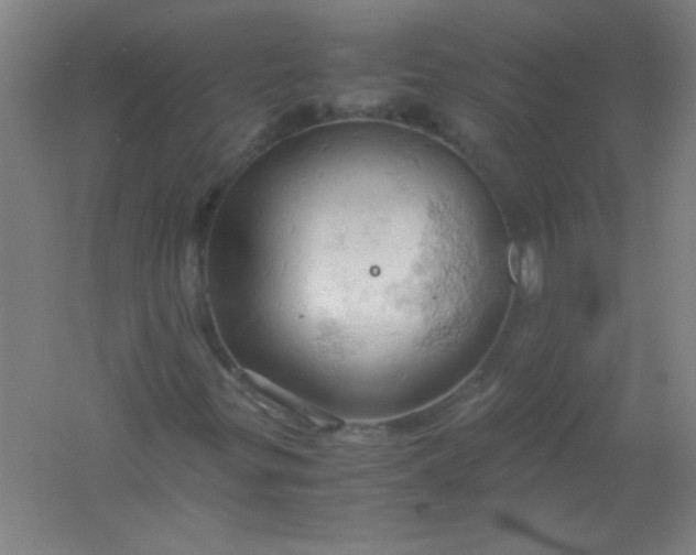 X0000061741299200512161639