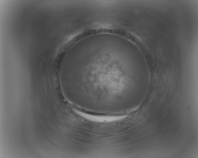 X0000061741303200512161639