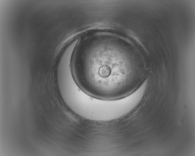 X0000061741304200512161639