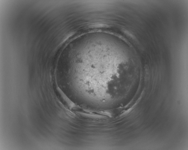 X0000061741305200512161639