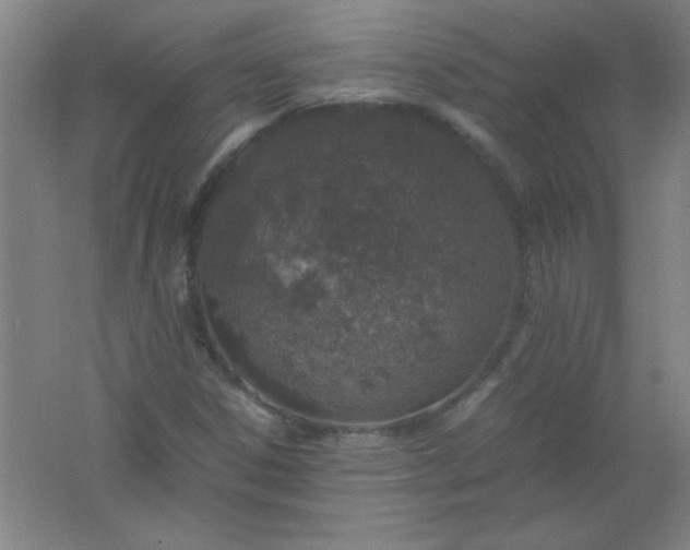 X0000061741306200512161639