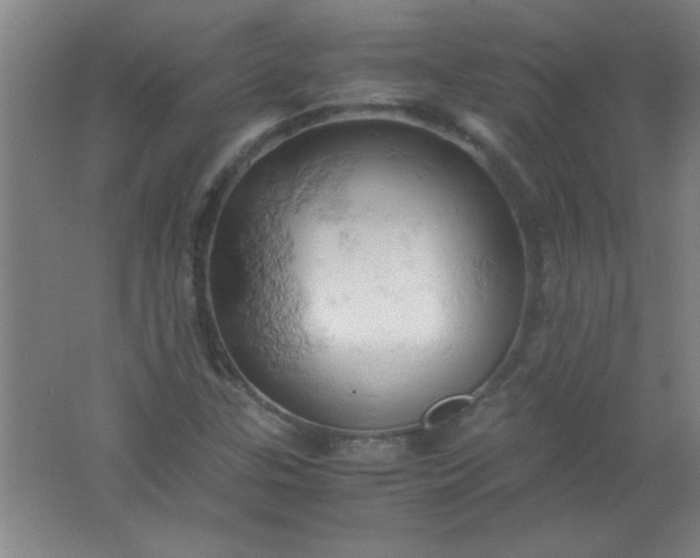 X0000061741307200512161639