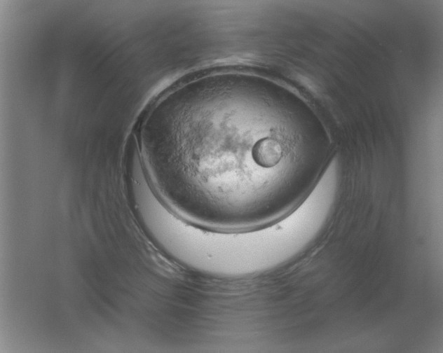 X0000061741308200512161639