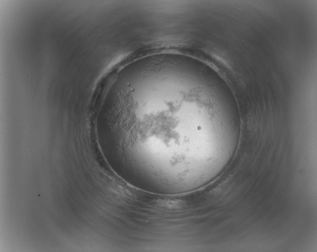 X0000061741309200512161639