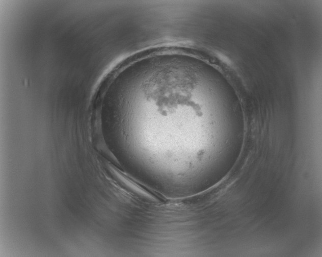 X0000061741310200512161639