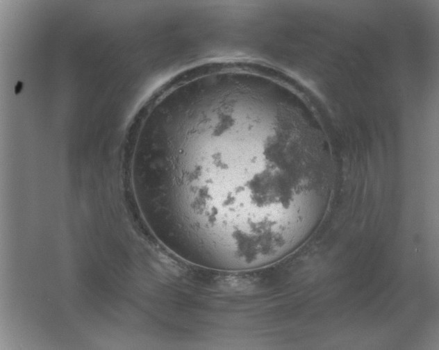 X0000061741311200512161639