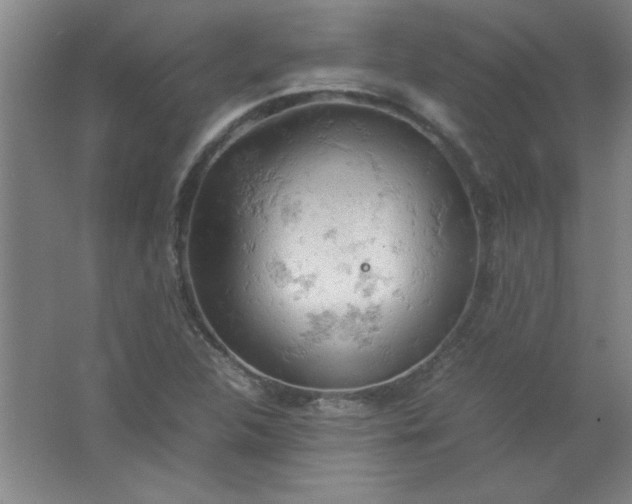 X0000061741312200512161639