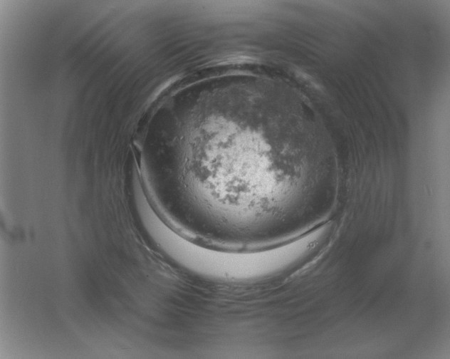 X0000061741313200512161639