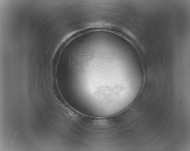 X0000061741315200512161639