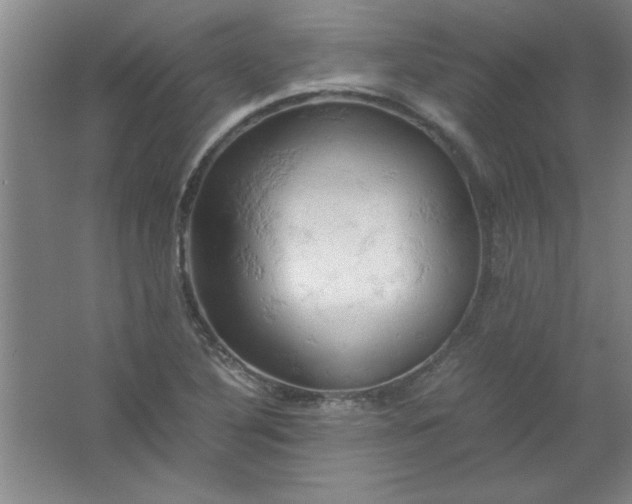 X0000061741316200512161639