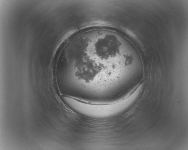 X0000061741318200512161639