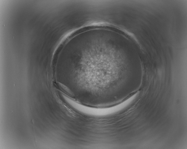 X0000061741319200512161639