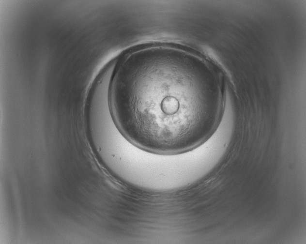 X0000061741320200512161639