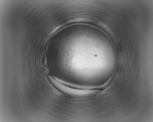 X0000061741321200512161639