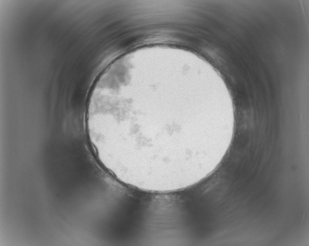 X0000061741322200512161639