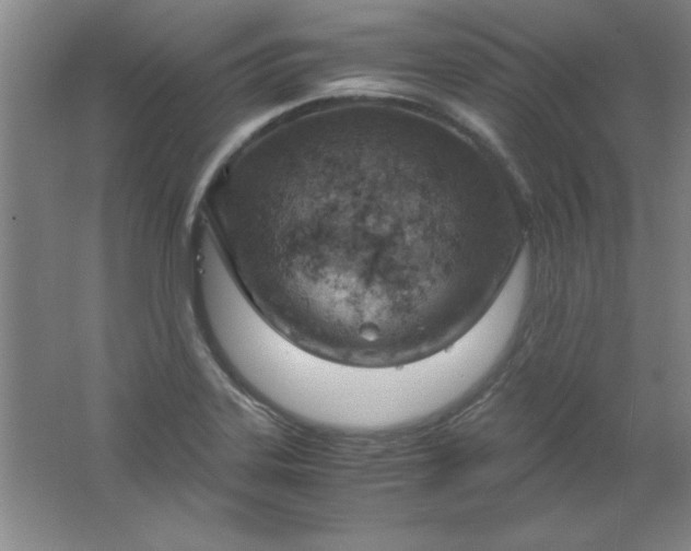 X0000061741323200512161639