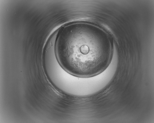 X0000061741324200512161639