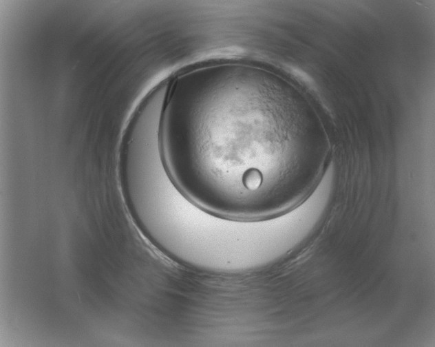 X0000061741326200512161639