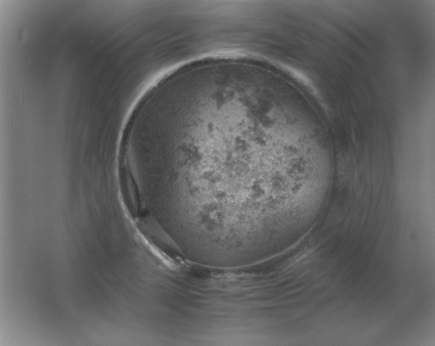 X0000061741327200512161639