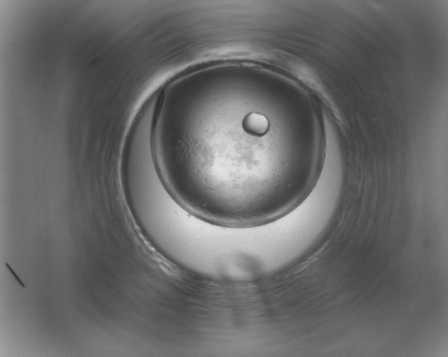 X0000061741328200512161639