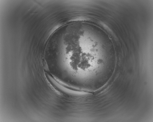 X0000061741329200512161639