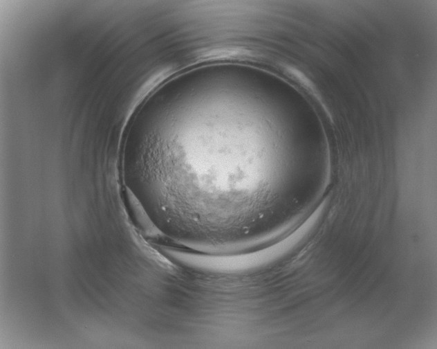 X0000061741330200512161639