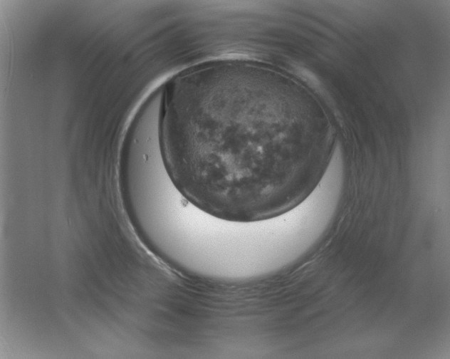 X0000061741331200512161639