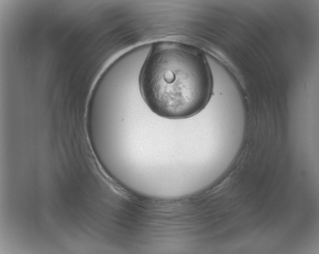 X0000061741332200512161639