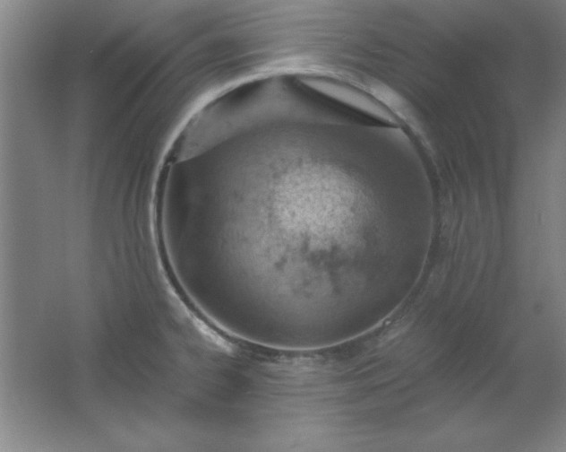 X0000061741334200512161639