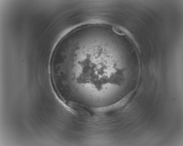 X0000061741335200512161639