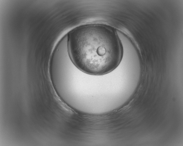 X0000061741336200512161639