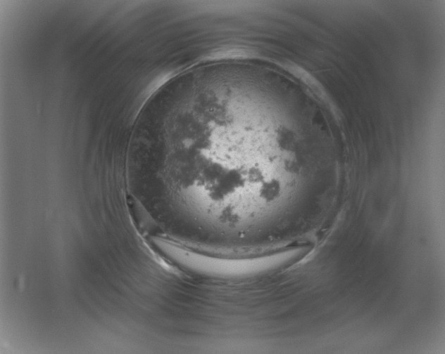 X0000061741337200512161639