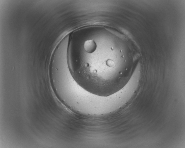 X0000061741338200512161639