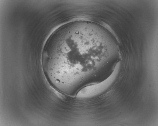 X0000061741339200512161639