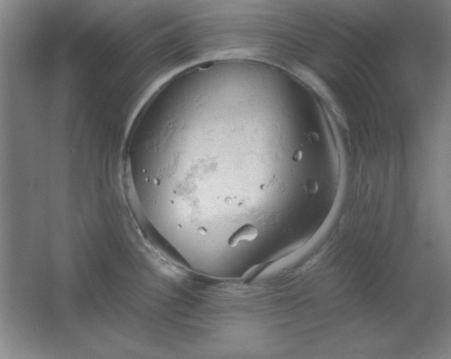 X0000061741340200512161639