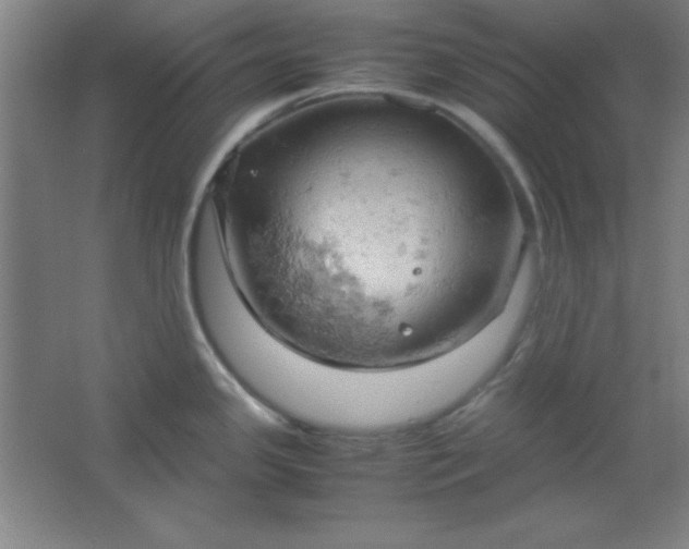 X0000061741341200512161639