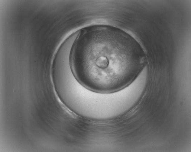 X0000061741342200512161639