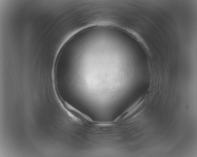 X0000061741343200512161639