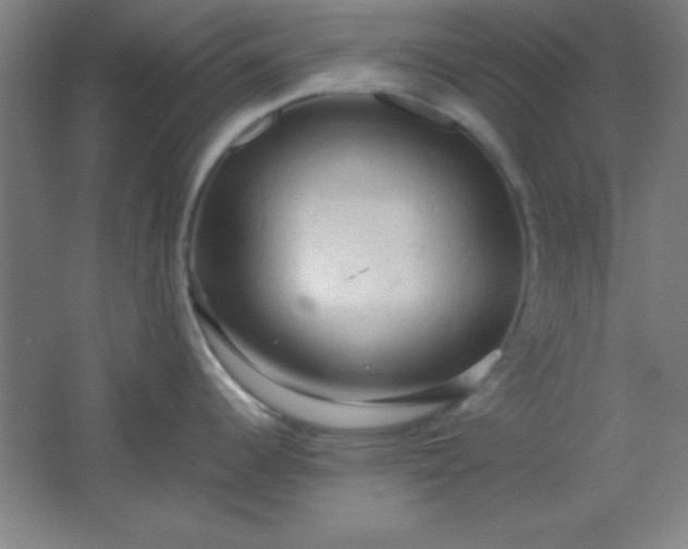 X0000061741344200512161639