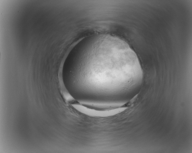 X0000061741345200512161639