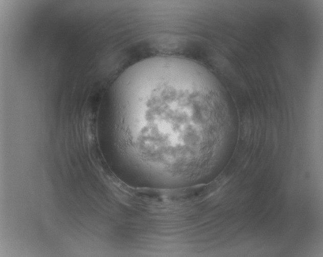 X0000061741346200512161639